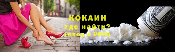 крисы Касимов