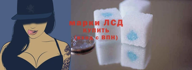 крисы Касимов