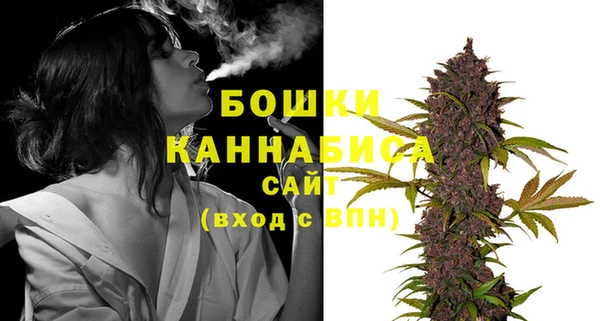 прущие грибы Каменногорск