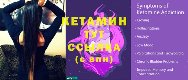 крисы Касимов